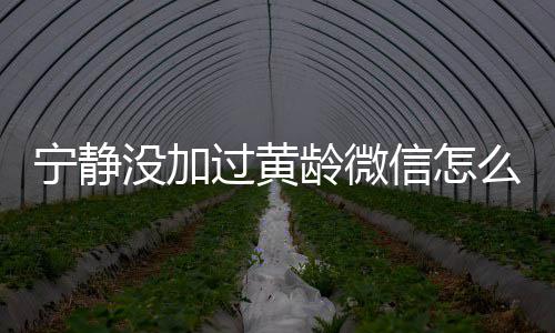 没加么回么样龄微龄关信怎系怎过黄宁静宁静和黄事