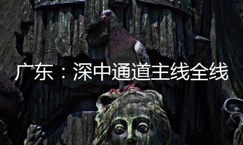 道主灯，倒计中通线全线亮进入广东通车深时